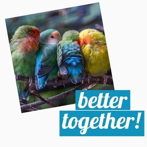 ✨ bundle discounts!